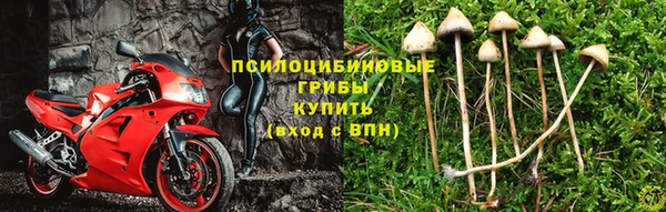 меф Гусев