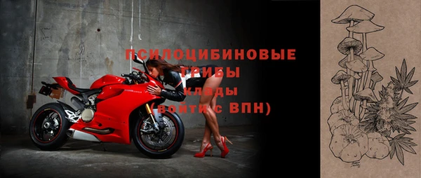 дмт Белокуриха