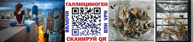 Псилоцибиновые грибы Psilocybe  магазин    Сорск 